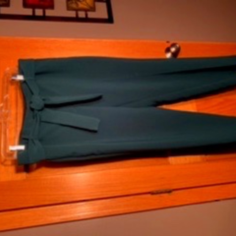 Ann Taylor green trousers